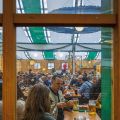 Wiesnturnier-2024-KDR60810.jpg
